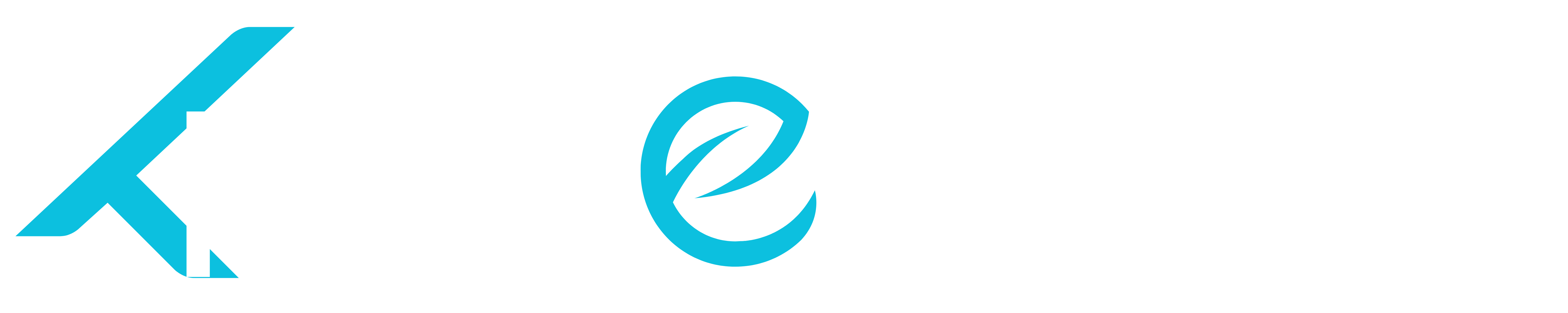 LogoWhite